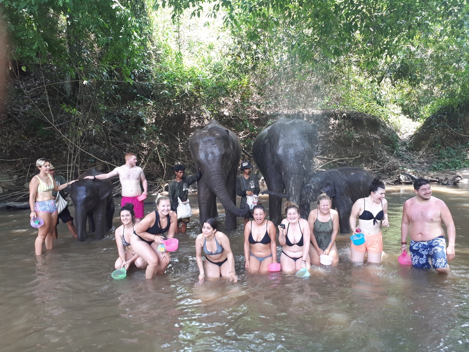 Tourists bathing elephants in a stream.