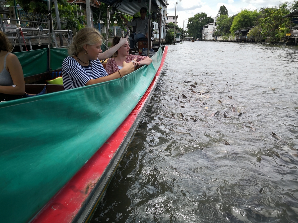 People in a boat feeding fish in a river or canal.