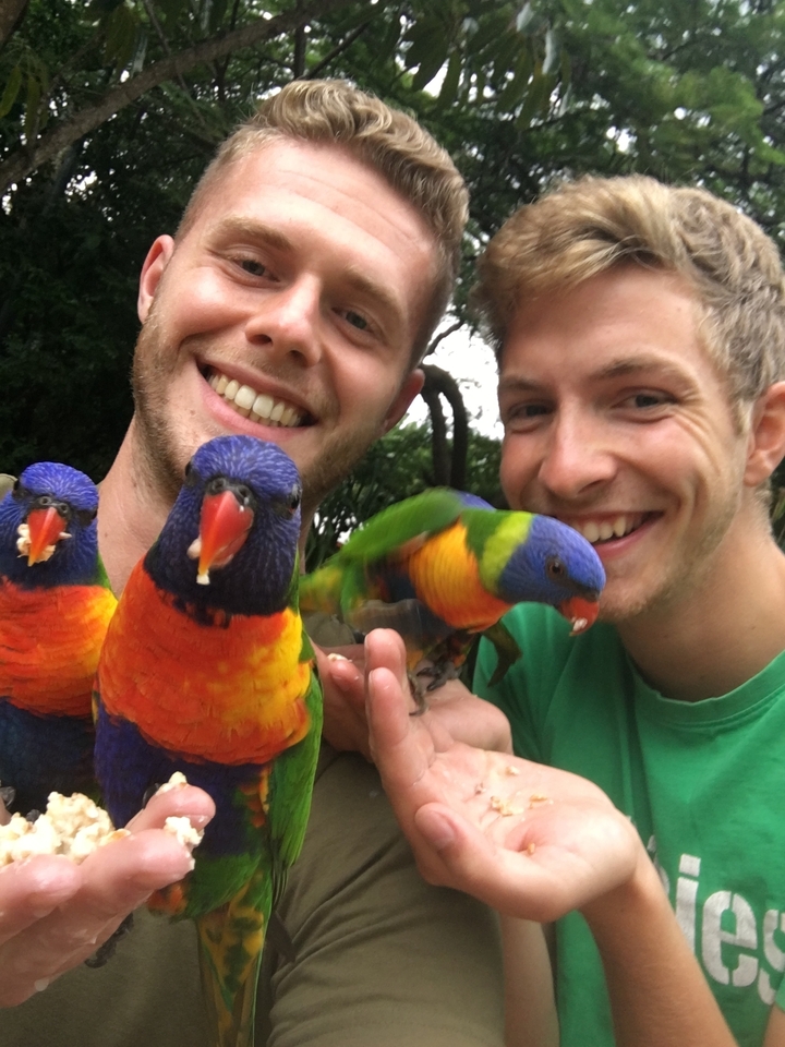 Deux personnes tenant des perroquets colorés avec des sourires.