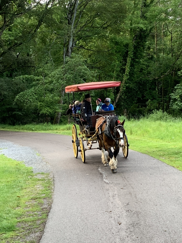 Calèche tirée par des chevaux sur une route de campagne.