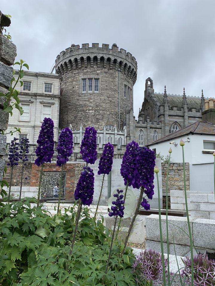 Des fleurs éclatantes dans un jardin avec un château en arrière-plan.