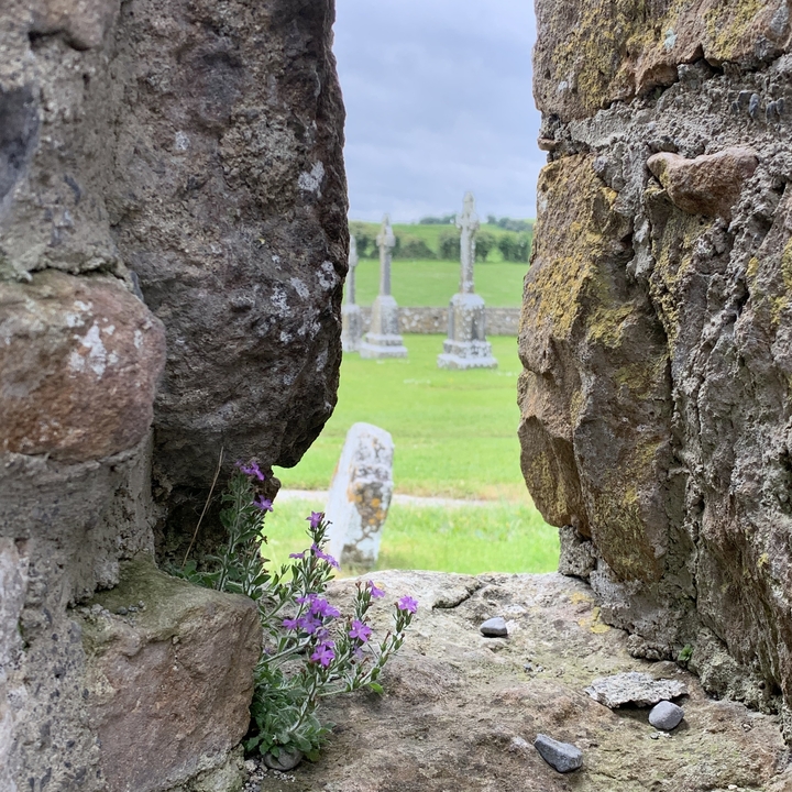 Vue à travers un mur de pierre vers un cimetière herbeux avec des croix.
