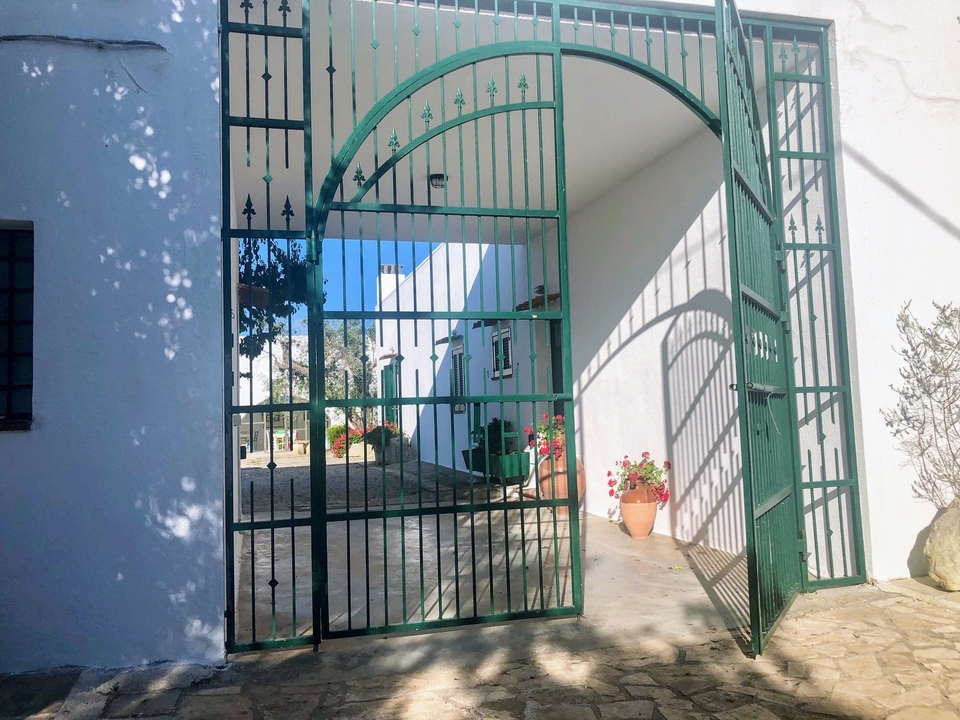 Entrée avec portail menant à un bâtiment blanc avec des plantes en pot.