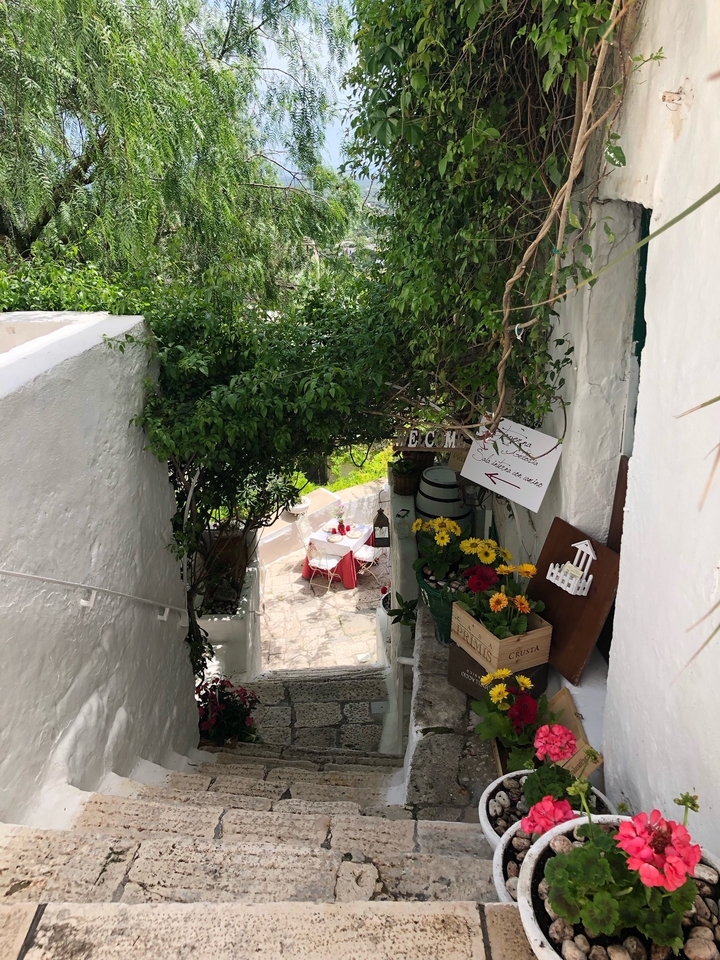 Zone de restauration extérieure chaleureuse dans une ruelle avec plantes et fleurs.