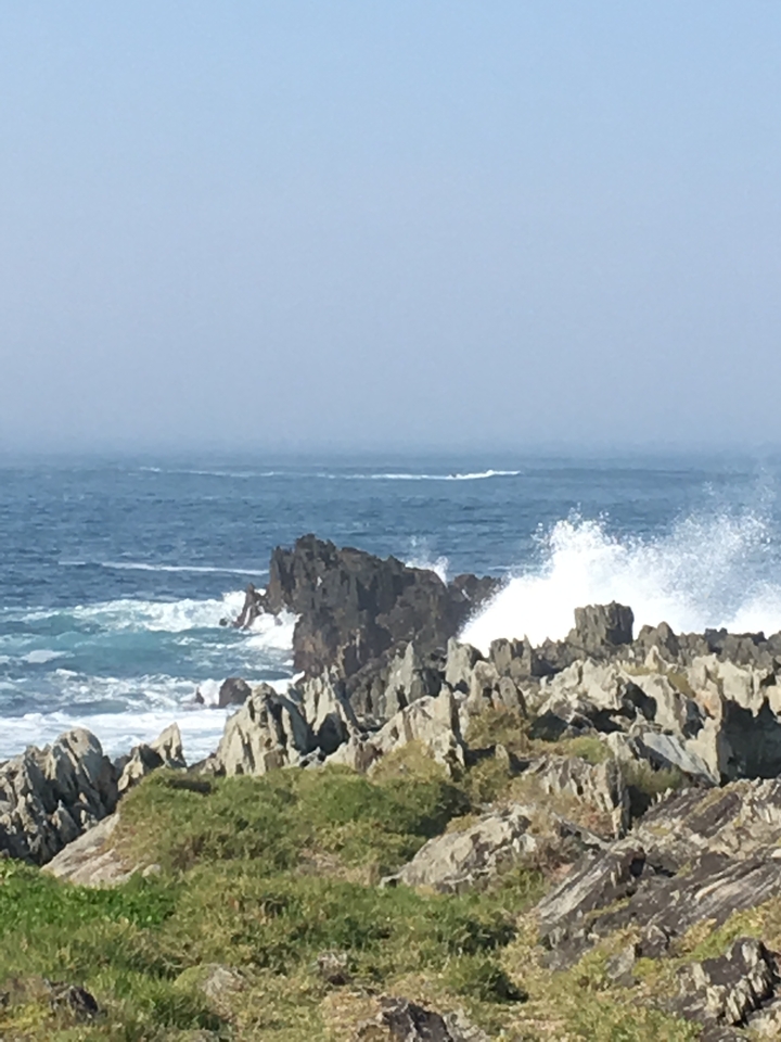 Des vagues qui se brisent contre les falaises rocheuses au bord de la mer.