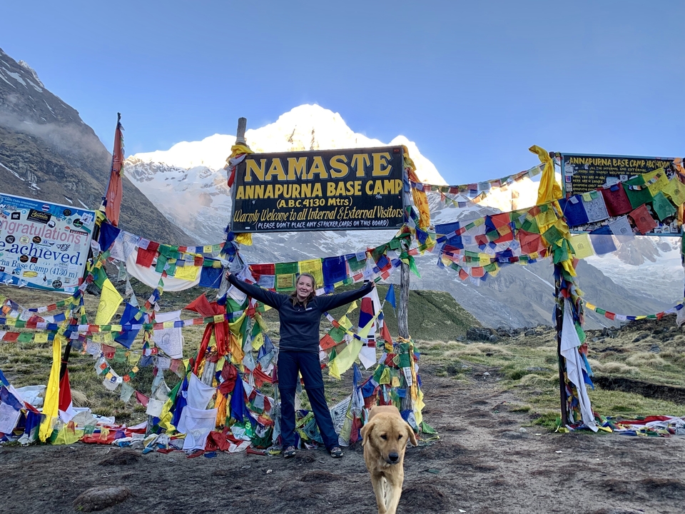 A trekker and a dog celebrate beneath the colourful prayer-flagged sign for Annapurna Base Camp with snow-capped peaks behind.