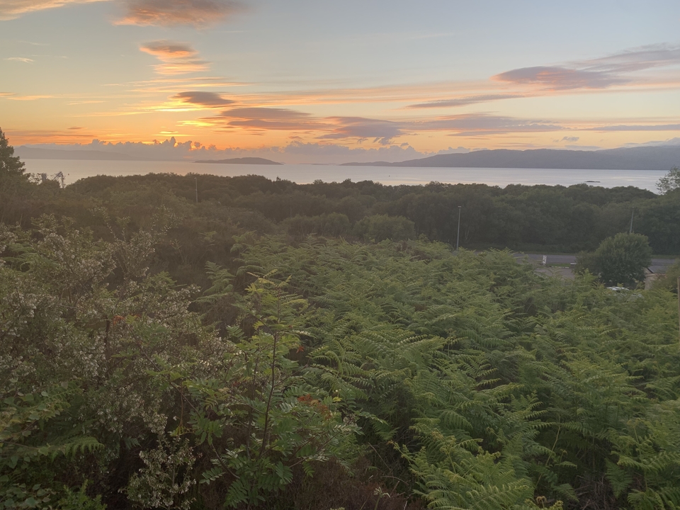 Vue du coucher de soleil sur l'océan avec des fougères au premier plan.