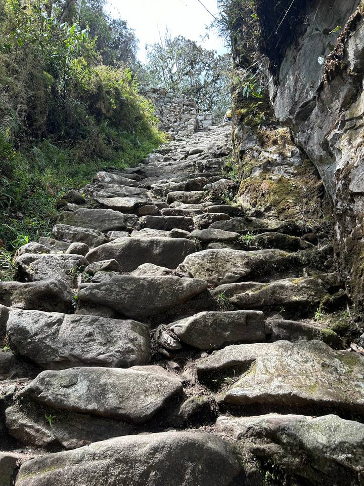 Steiniger Pfad durch ein bewaldetes Berggebiet.