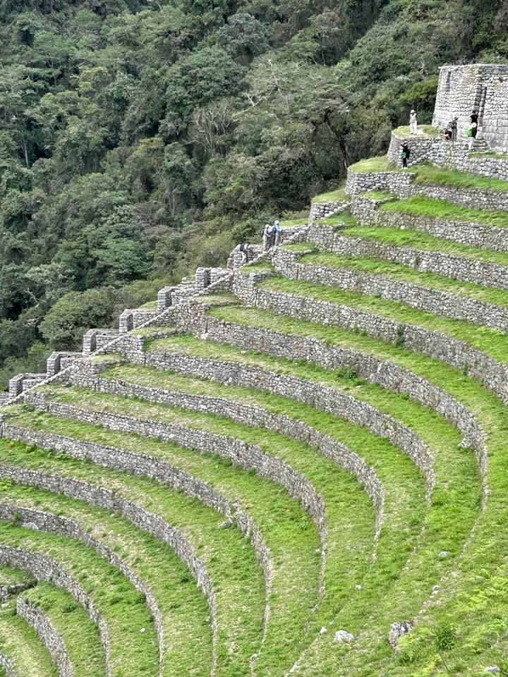 Terrassierter Berghang mit wandernden Menschen.