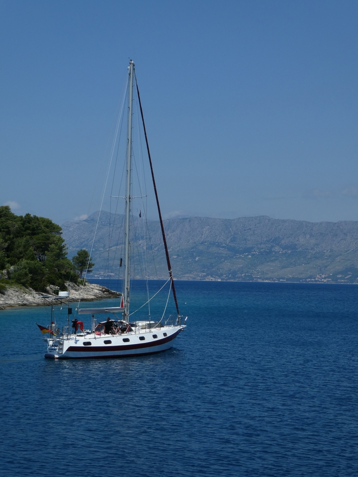 Voilier ancré près d'un littoral boisé.