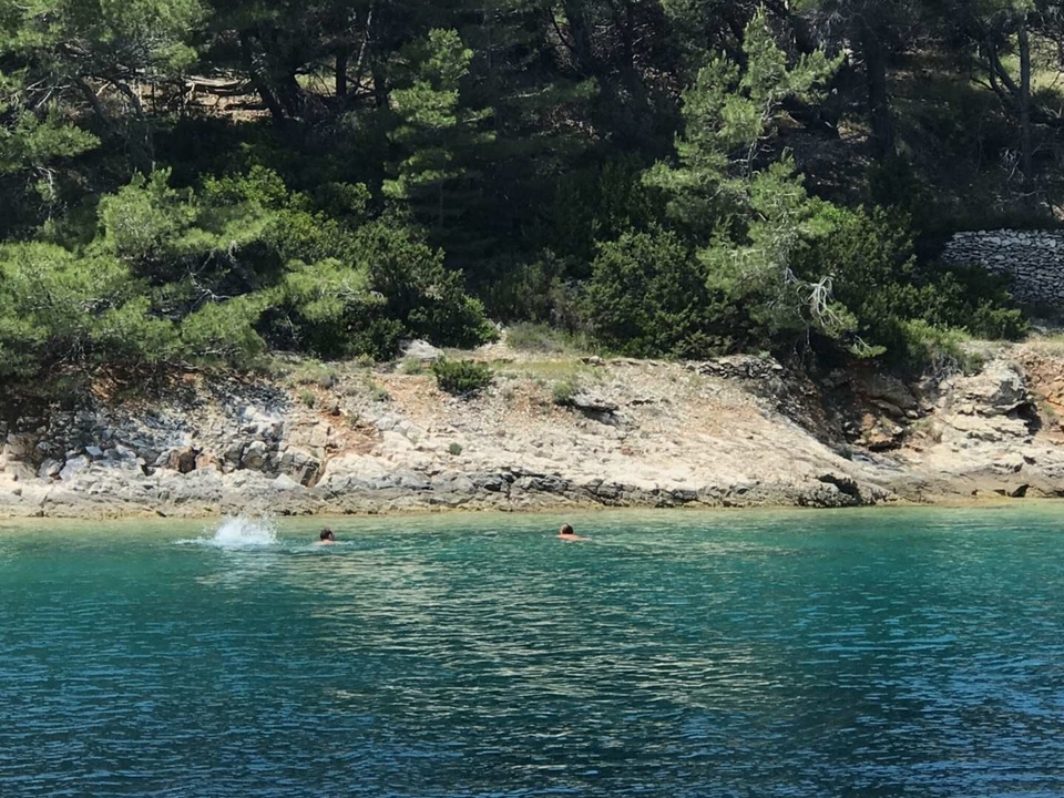Des gens qui nagent près d'un rivage rocheux.