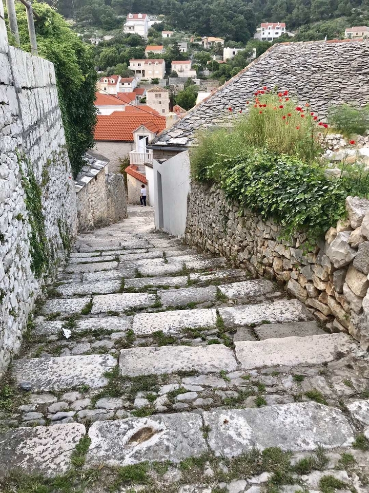 Sentier en pierre dans un cadre rustique.