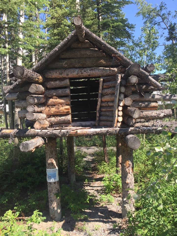Une structure rustique en rondins dans un cadre forestier.