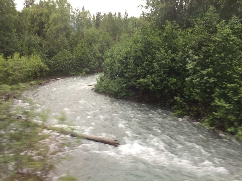 Une rivière tumultueuse entourée d'une dense forêt verdoyante.