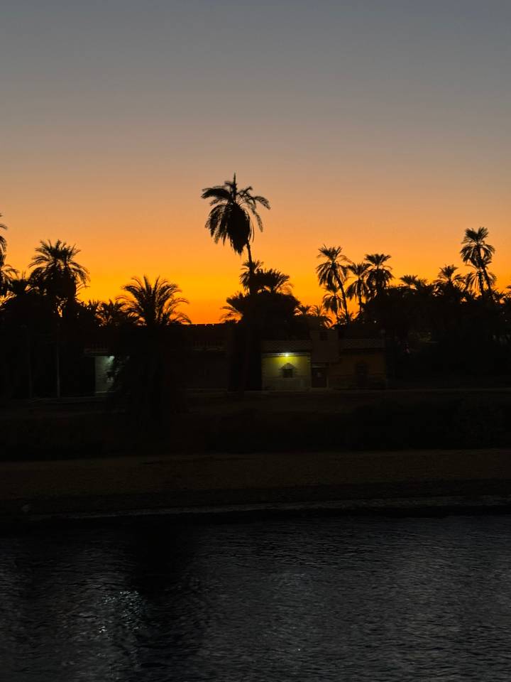 Silhouette de palmiers pendant un coucher de soleil sur l'eau.