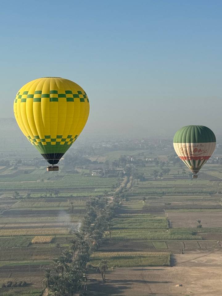 Montgolfières survolant un paysage rural.