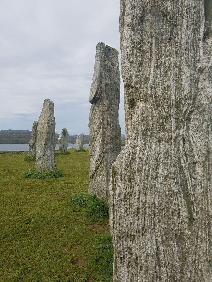 Menhirs de Callanish sur un paysage herbeux.