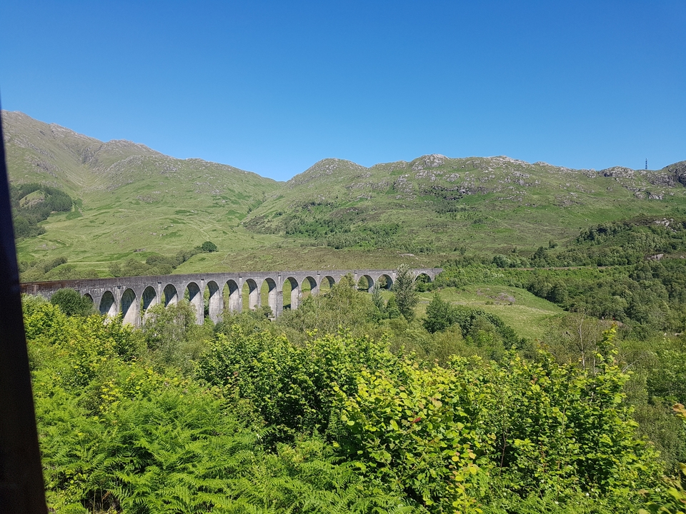 Viaduc pittoresque traversant un paysage verdoyant luxuriant.