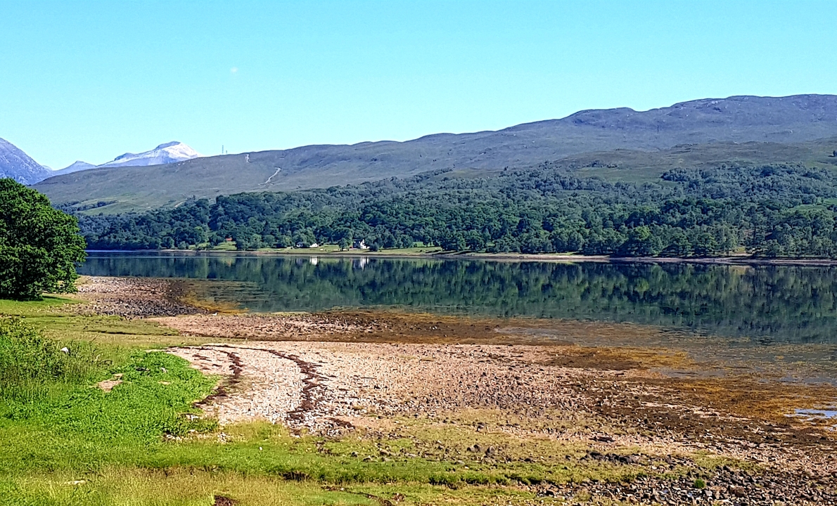 Eaux calmes avec un arrière-plan boisé.