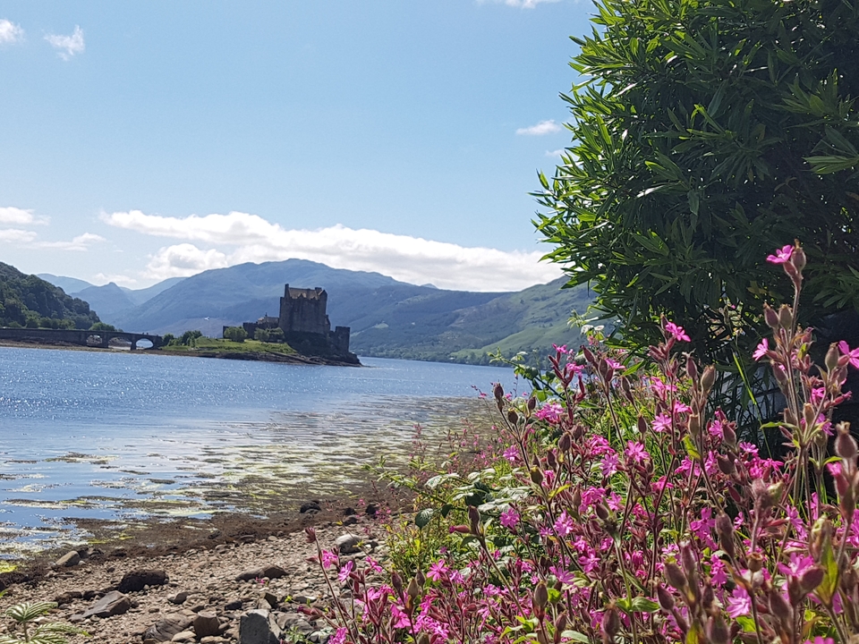 Vue pittoresque d'un château au bord de l'eau avec des fleurs au premier plan.
