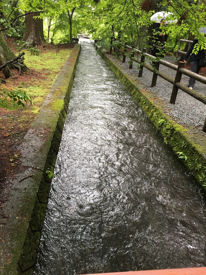 Petit canal d'eau bordé d'un feuillage vert luxuriant.