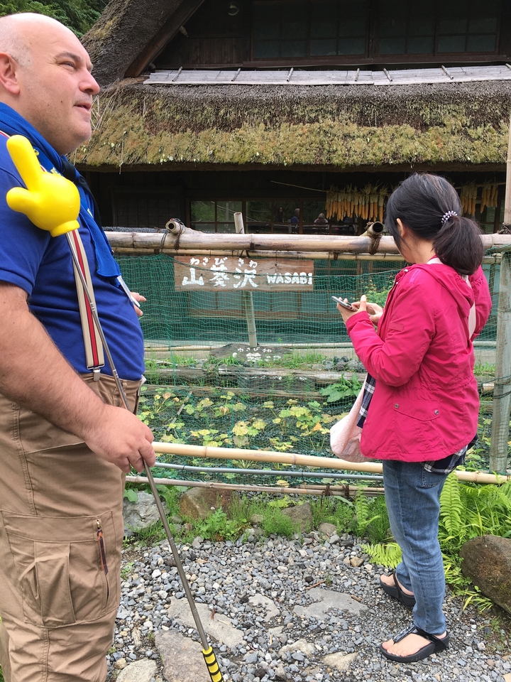 Des visiteurs dans une ferme de wasabi avec une signalisation traditionnelle.