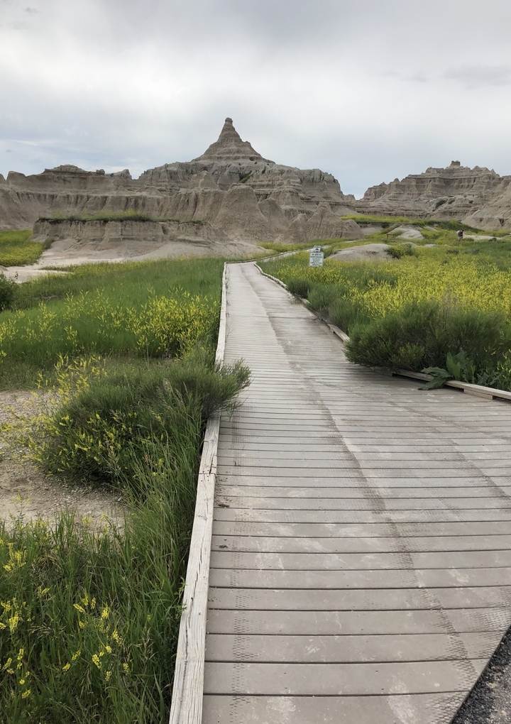 Passerelle en bois traversant une zone herbeuse.