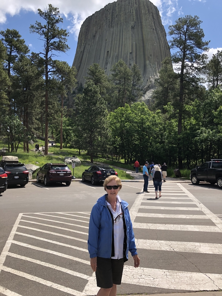 Zone de stationnement avec des personnes et des voitures entourée d'arbres.