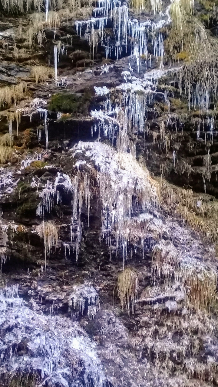 Glaçons suspendus à une surface rocheuse.
