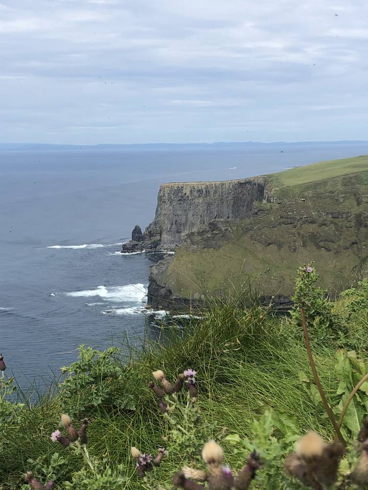 Falaises surplombant l'océan avec de la verdure.
