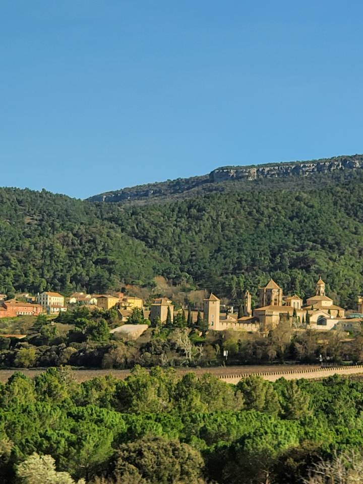 Un village de colline avec des bâtiments historiques entouré d'arbres.