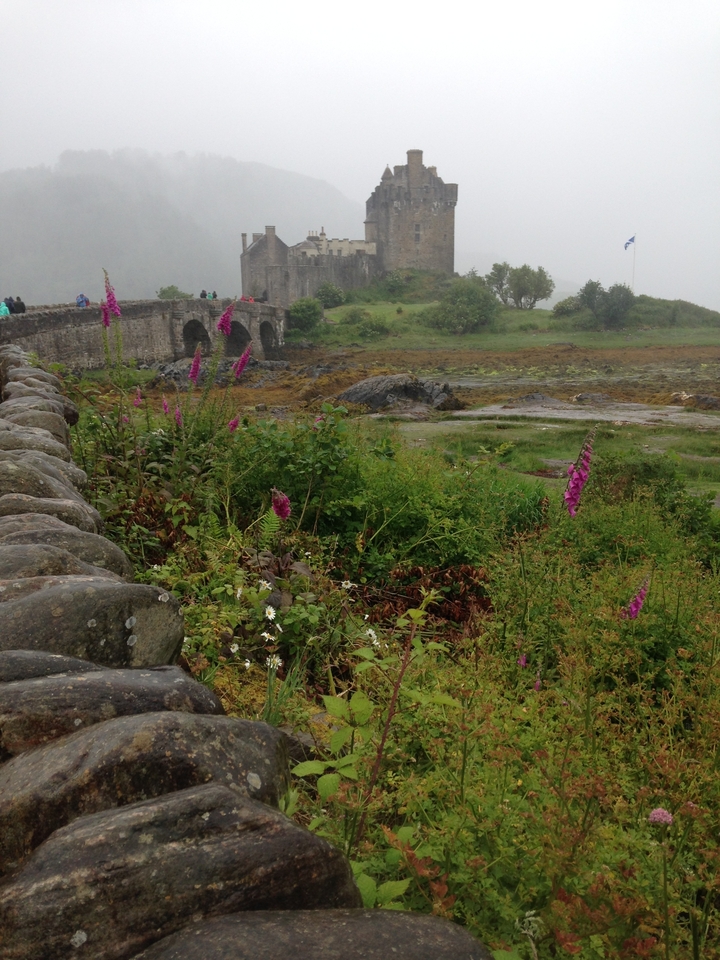 Pierres et végétation près d'un pont historique dans un paysage luxuriant.