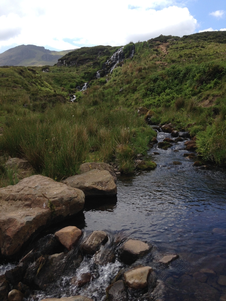 Petit ruisseau coulant à travers un terrain herbeux avec des pierres.