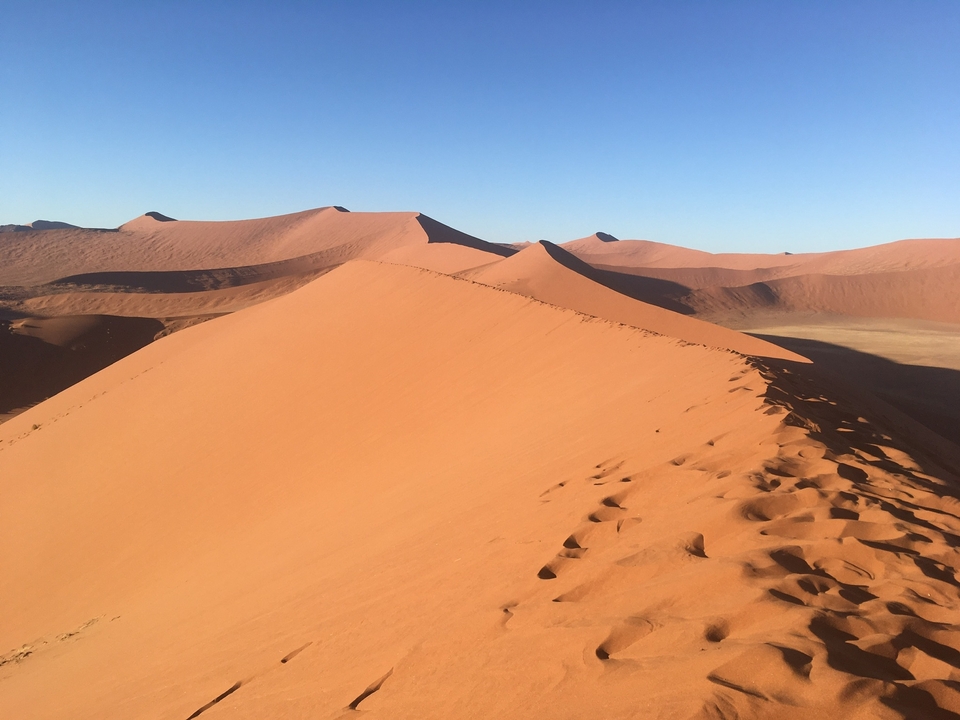 Red sand dunes stretching into the distance under a clear sky.