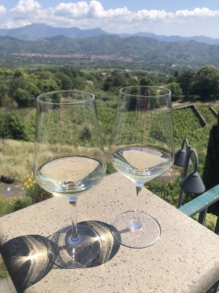 Des verres de vin sur une terrasse avec vue sur un vignoble.