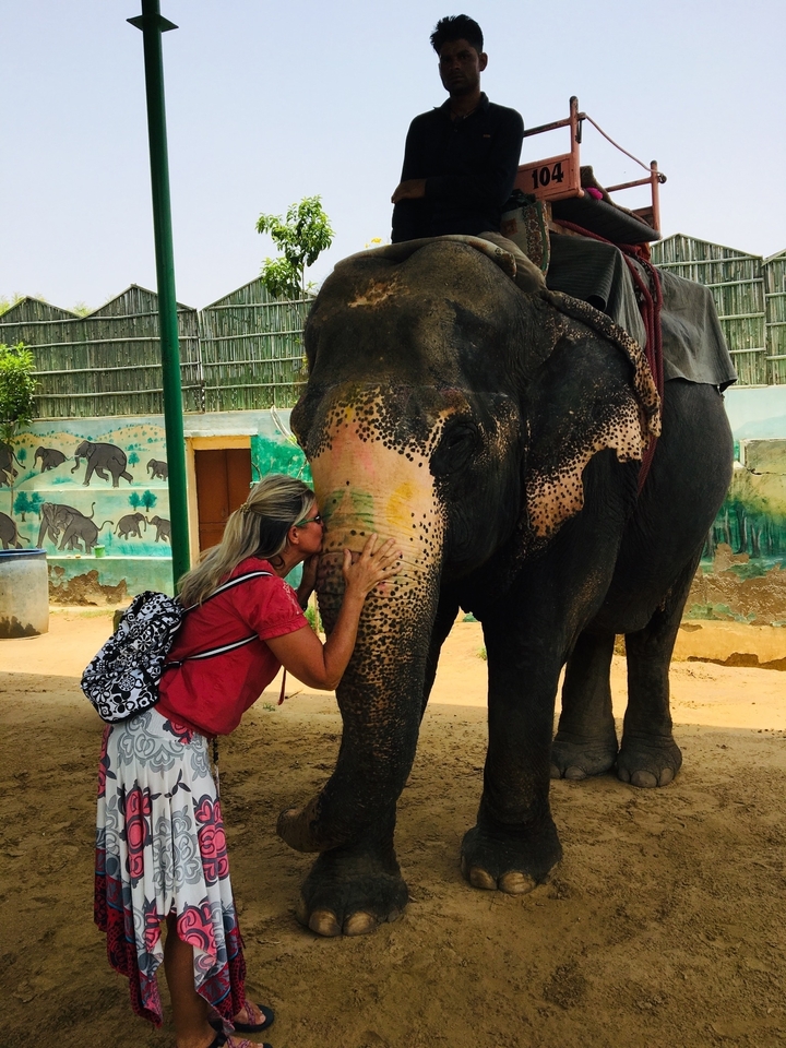 Femme embrassant un éléphant avec une fresque en arrière-plan.
