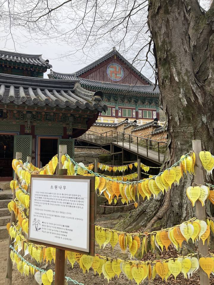 Temple coréen traditionnel avec des feuilles jaunes et des notes écrites attachées.