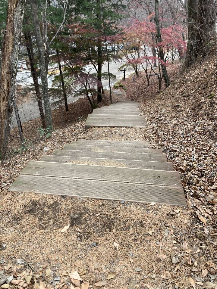 Marches en bois dans un décor de forêt automnale.