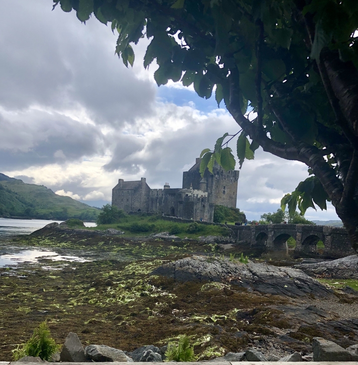 Château historique situé sur une petite île reliée par un pont, avec un arbre au premier plan et un ciel nuageux.