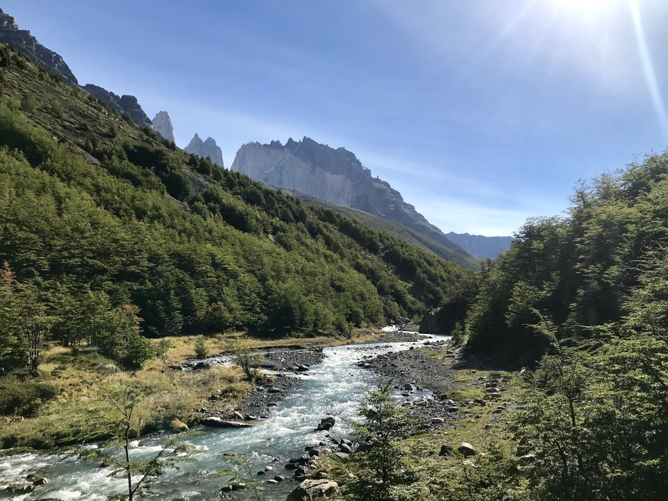 Rivière traversant une forêt dense avec des montagnes à l'arrière-plan.