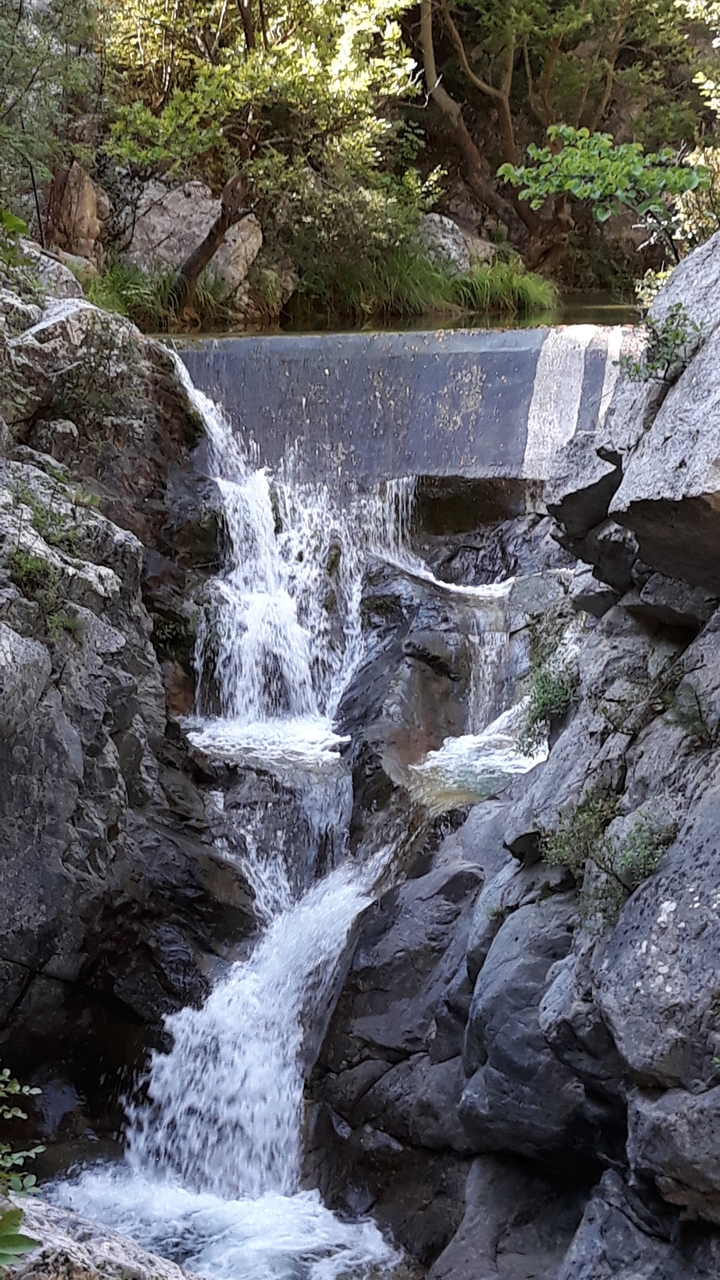 Petite cascade coulant à travers les rochers.