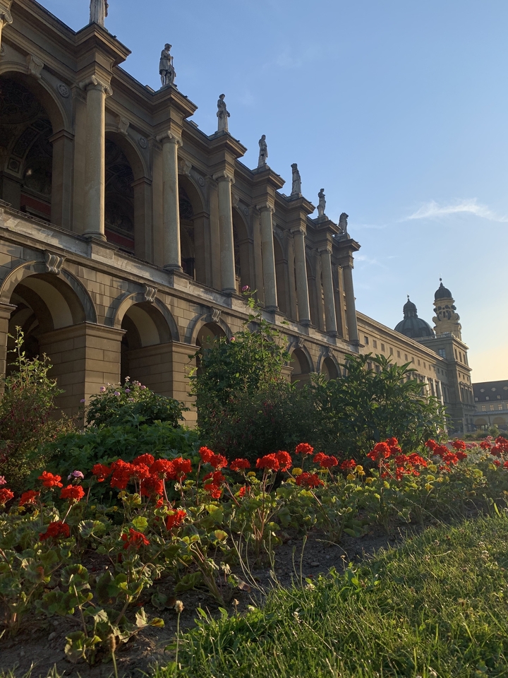 Des fleurs devant un bâtiment classique avec des arches.