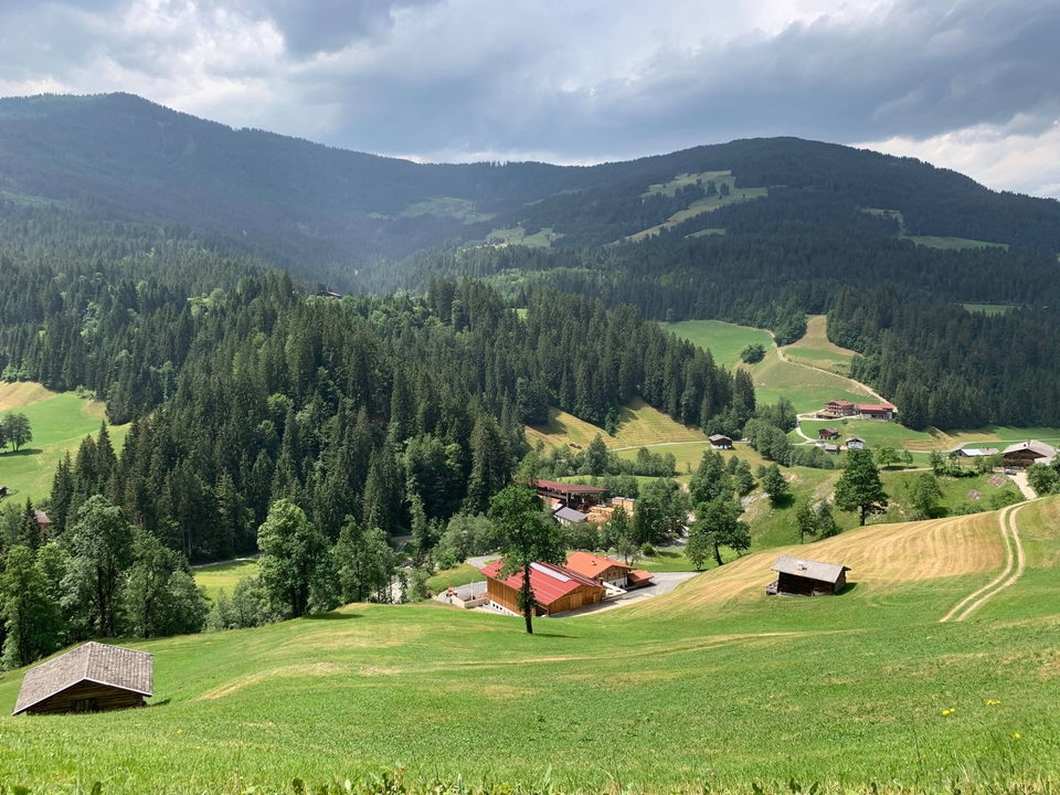 Une vue panoramique d'une vallée avec un village et des montagnes boisées.