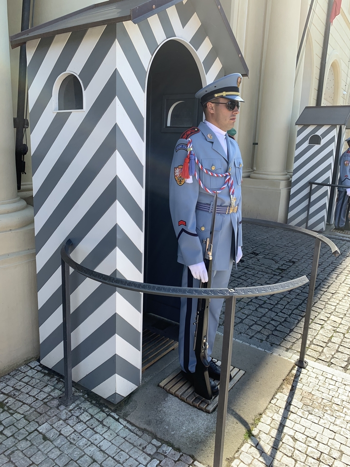 Un garde en uniforme à un poste cérémoniel.