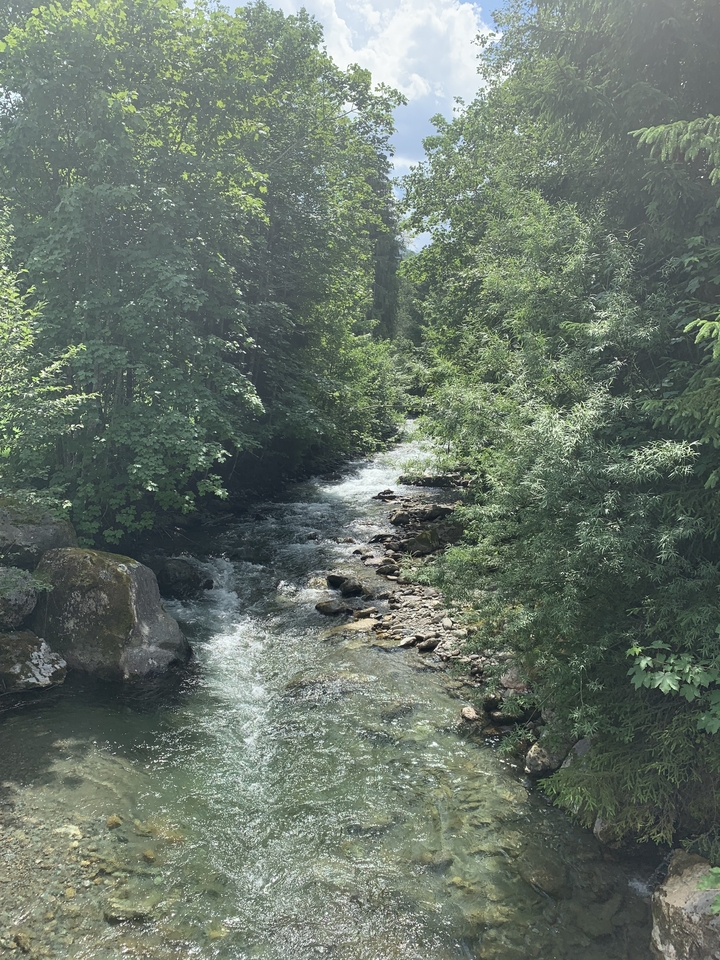 Un ruisseau étroit et impétueux entouré d'une forêt dense.