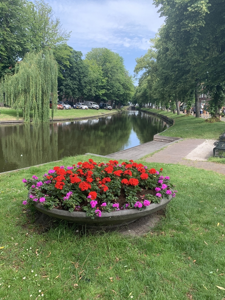 Canal avec voitures garées et parterre de fleurs au premier plan.