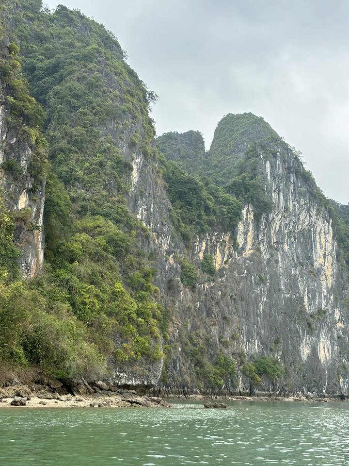 Falaises calcaires au bord de la mer.