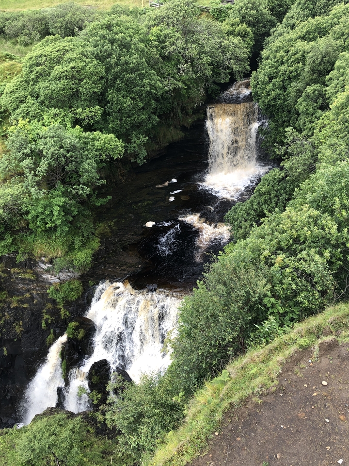 Cascade se déversant dans un ruisseau de forêt