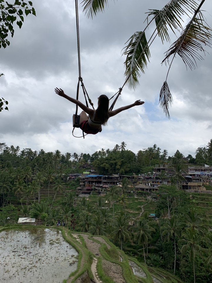 Silhouette of a woman on a swing over scenic terraced fields.