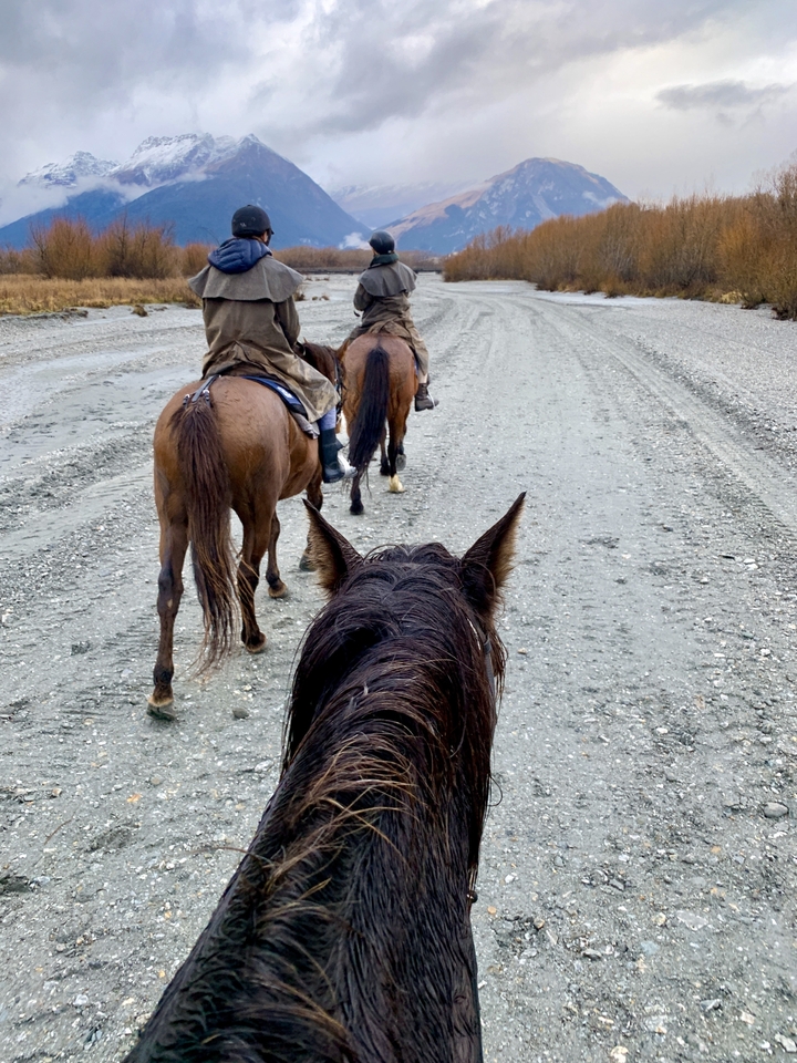 Des gens à cheval sur un chemin de gravier.
